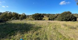 Farmhouse for sale in Telti Ref Murichintu