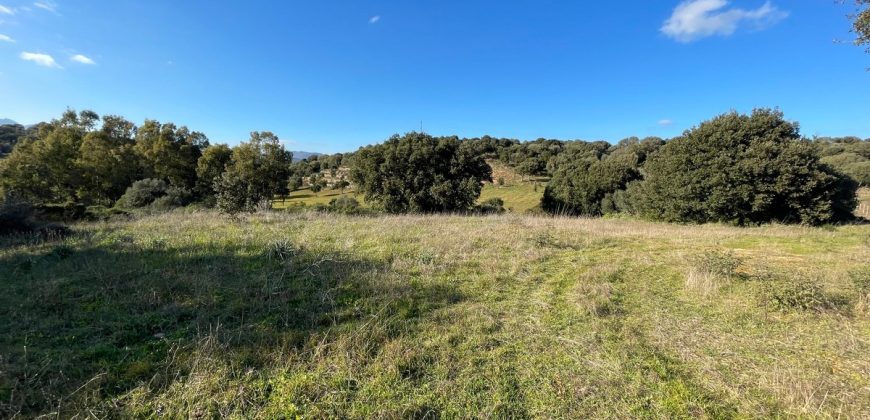 Farmhouse for sale in Telti Ref Murichintu