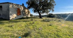 Farmhouse for sale in Telti Ref Murichintu