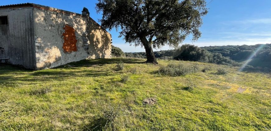 Farmhouse for sale in Telti Ref Murichintu