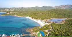 Ville in vendita a Pittulongu Olbia ref.Dal