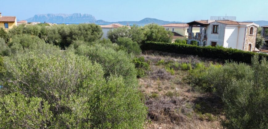 Ville in vendita a Pittulongu Olbia ref.Dal