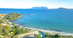 Ville in vendita a Pittulongu Olbia ref.Dal