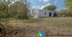 Casa di campagna in vendita a Telti Ref.Li Conchi
