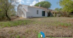 Casa di campagna in vendita a Telti Ref.Li Conchi