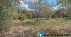 Casa di campagna in vendita a Telti Ref.Li Conchi