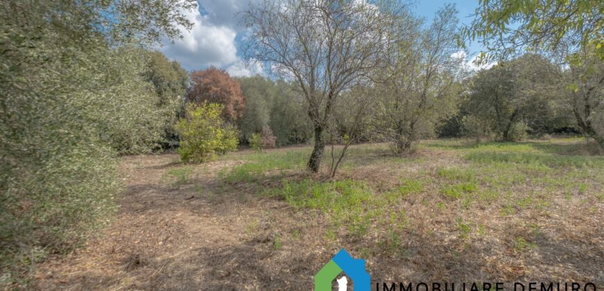 Casa di campagna in vendita a Telti Ref.Li Conchi