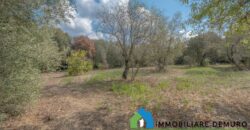 Casa di campagna in vendita a Telti Ref.Li Conchi