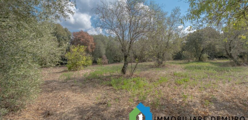 Casa di campagna in vendita a Telti Ref.Li Conchi