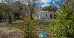 Casa di campagna in vendita a Telti Ref.Li Conchi