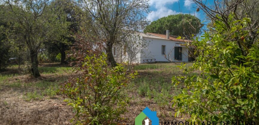 Casa di campagna in vendita a Telti Ref.Li Conchi