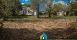 Casa di campagna in vendita a Telti Ref.Li Conchi