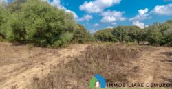 Casa di campagna in vendita a Telti Ref.Li Conchi