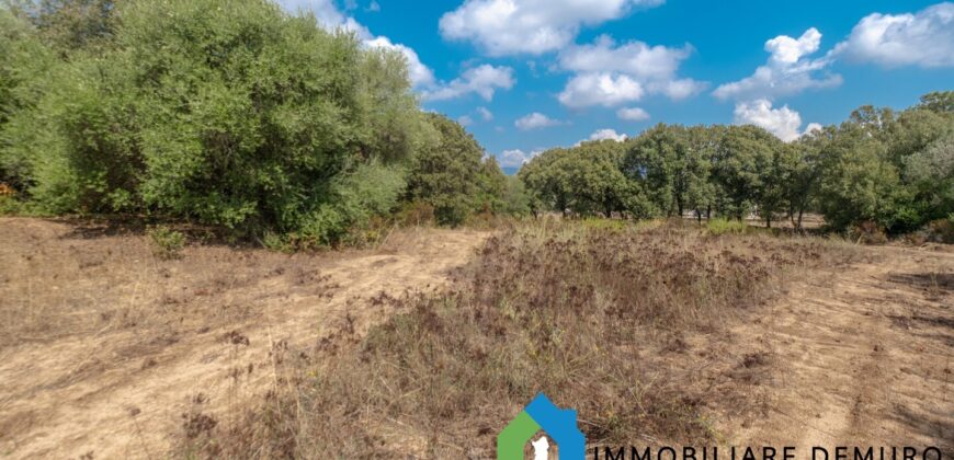 Casa di campagna in vendita a Telti Ref.Li Conchi
