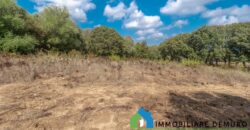 Casa di campagna in vendita a Telti Ref.Li Conchi