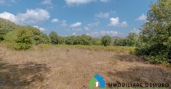 Casa di campagna in vendita a Telti Ref.Li Conchi