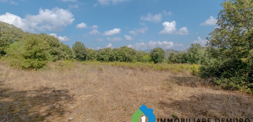 Casa di campagna in vendita a Telti Ref.Li Conchi