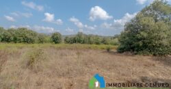 Casa di campagna in vendita a Telti Ref.Li Conchi