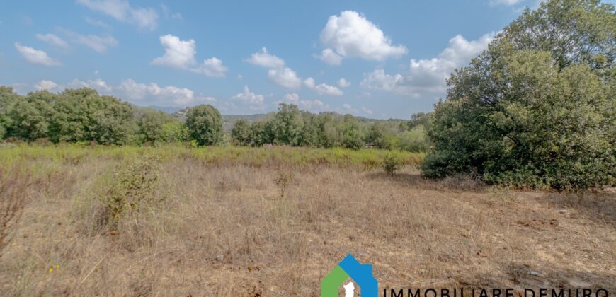 Casa di campagna in vendita a Telti Ref.Li Conchi