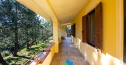 Country House For Sale In Gallura