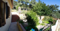 Country House For Sale In Gallura