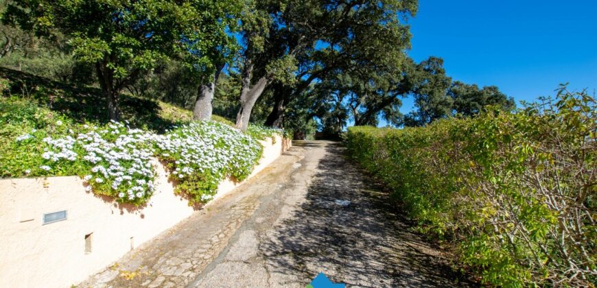 Country House For Sale In Gallura