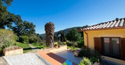 Country House For Sale In Gallura