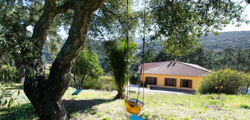 Country House For Sale In Gallura