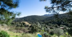 Country House For Sale In Gallura