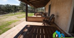 Azienda Agricola in vendita Sardegna ref. Biagio