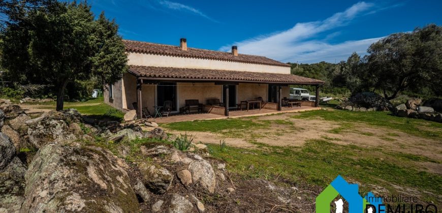 Azienda Agricola in vendita Sardegna ref. Biagio