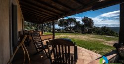 Farm for Sale in Gallura