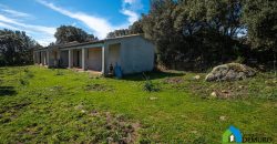 Farm for Sale in Gallura
