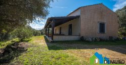 Azienda Agricola in vendita Sardegna ref. Biagio