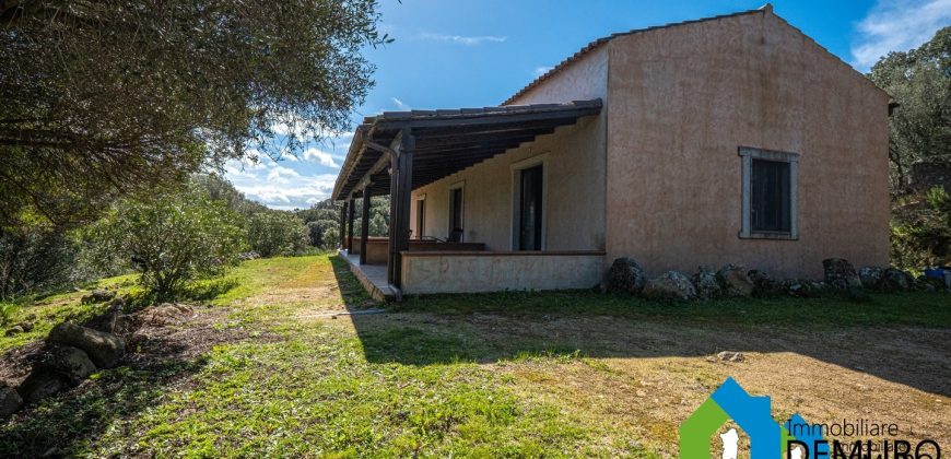 Azienda Agricola in vendita Sardegna ref. Biagio
