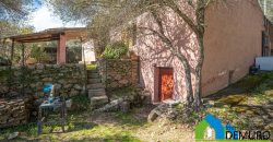 Azienda Agricola in vendita Sardegna ref. Biagio