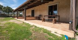 Farm for Sale in Gallura