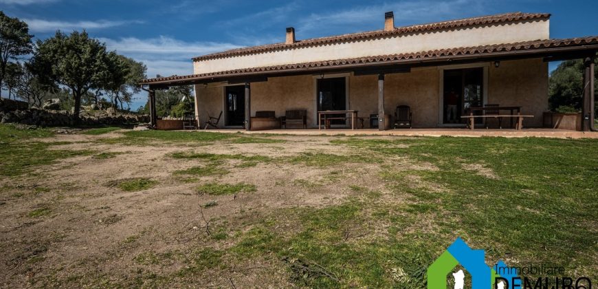 Azienda Agricola in vendita Sardegna ref. Biagio