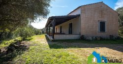 Farm for Sale in Gallura