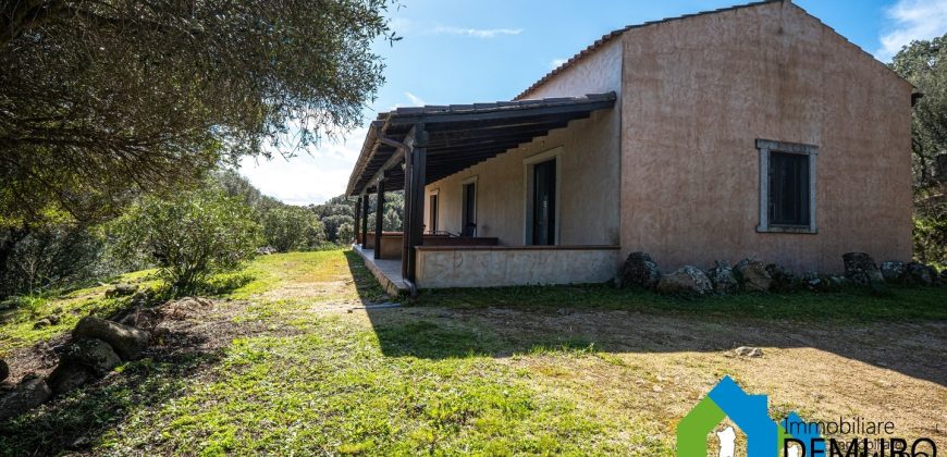Farm for Sale in Gallura
