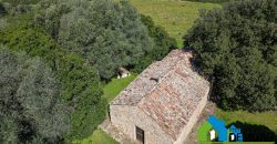 Azienda Agricola in vendita Sardegna ref. Biagio