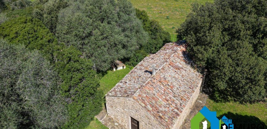 Azienda Agricola in vendita Sardegna ref. Biagio