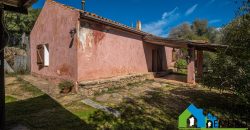 Azienda Agricola in vendita Sardegna ref. Biagio