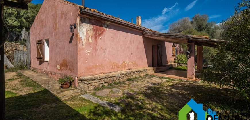 Azienda Agricola in vendita Sardegna ref. Biagio