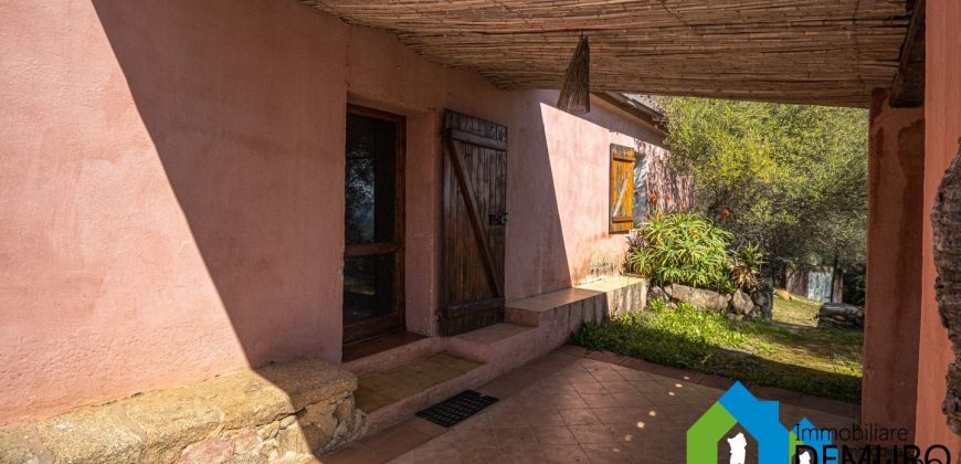 Azienda Agricola in vendita Sardegna ref. Biagio