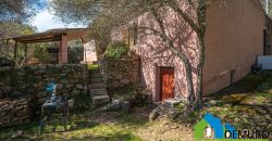 Azienda Agricola in vendita Sardegna ref. Biagio