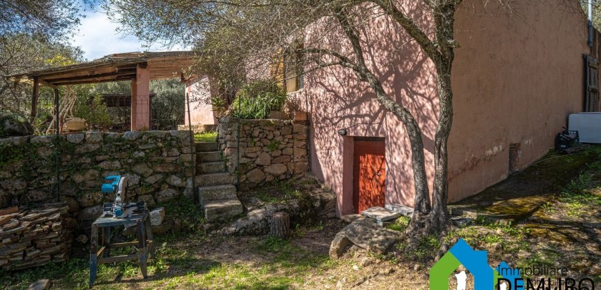 Azienda Agricola in vendita Sardegna ref. Biagio