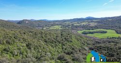 Azienda Agricola in vendita Sardegna ref. Biagio