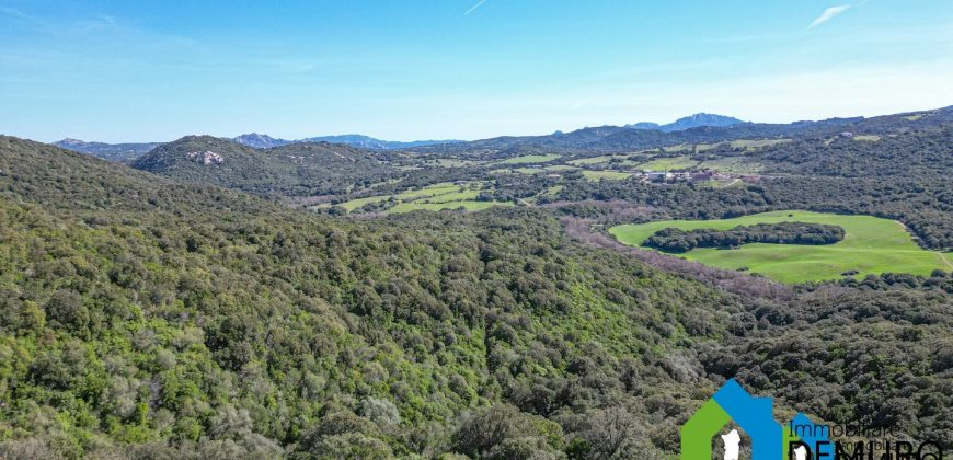 Azienda Agricola in vendita Sardegna ref. Biagio