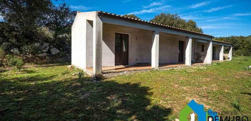 Azienda Agricola in vendita Sardegna ref. Biagio